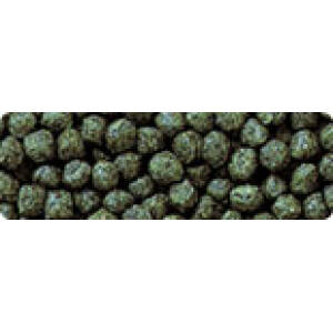 Hikari Cichlid Staple Mini Pellet Fish Food