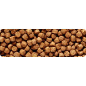 Hikari Cichlid Gold Sinking Mini...