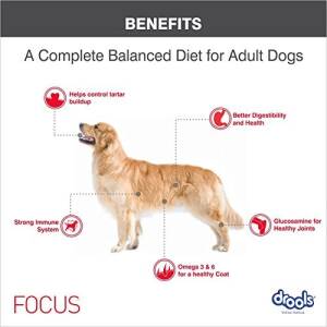 Drools Focus Adult Super Dog...