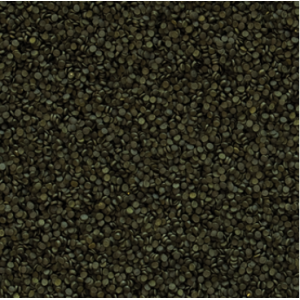 Tropical Super Spirulina Fortenulat...