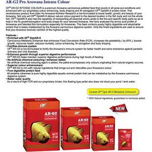Ocean Free AR-G2 Pro Arowana...