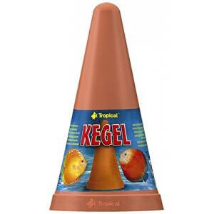TROPICAL Kegel Spawning Cone...
