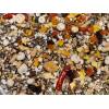 seed Parrot food