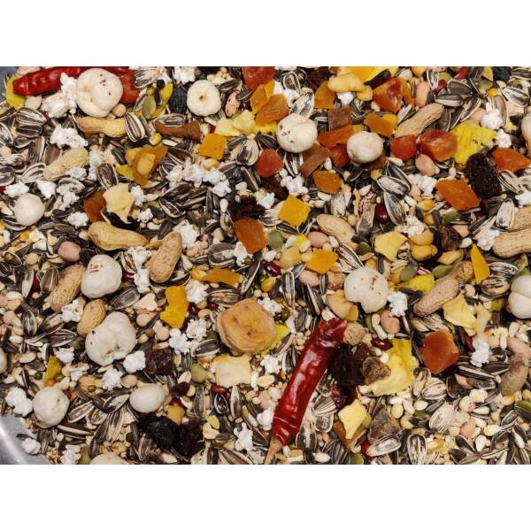 seed Parrot food