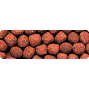 Hikari Cichlid Gold Medium Pellet...
