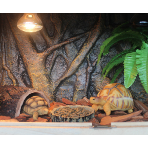 NomoyPet Aquarium Decoration 3D Foam Rock Reptile Stone Aquarium Background Board Backdrop NFF-41