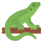 Reptile