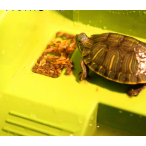NomoyPet High-end split Reptile...