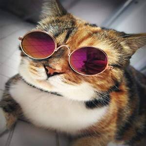 Pawsindia Sunglasses for Dogs...