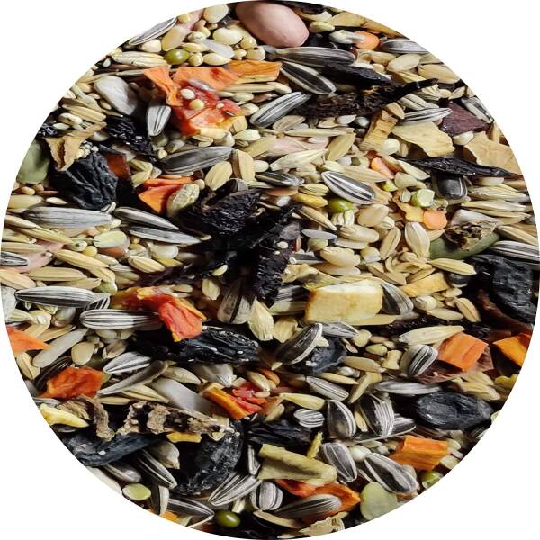 Premium seed & fruit mix