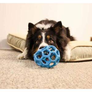 Pawsindia Wabbit Ball Fod Dogs...