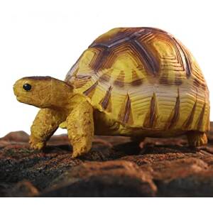 NomoyPet Resin Turtle Shape Decoration...
