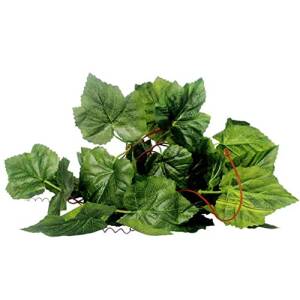 Nomoypet Simulation Grape Vine...