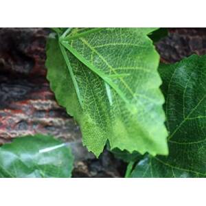 Nomoypet Simulation Grape Vine...