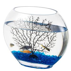 hygger 0.75 Gallon Glass Oblate...