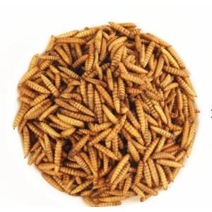 AquaNature High Protein Dried...