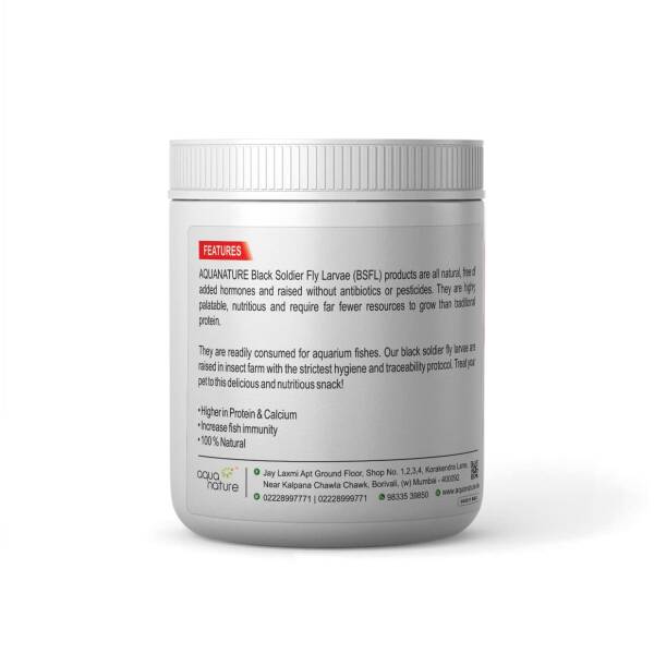bsf larvae for fish food