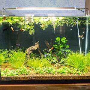 Sunsun LED Light For Planted...