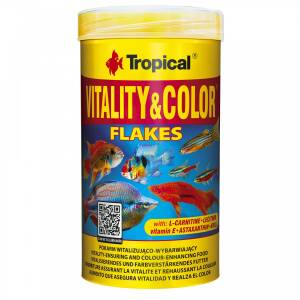 Tropical Vitality & Color...