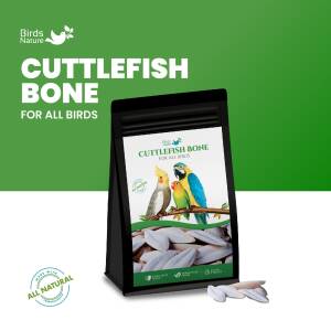 BirdsNature Cuttlefish Bone For...