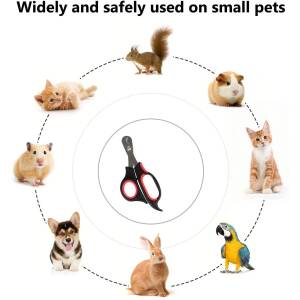 AquaNature Pet Paw Scissor Nail Cutter Cum Clipper Premium Stainless Steel Clippers for Precise Pet Grooming, Safe and Effortless Nail Trimming for Large Dogs, Cats, Puppies, and Kittens