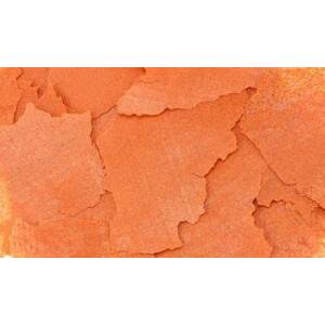 Ocean Nutrition Formula One Flakes...