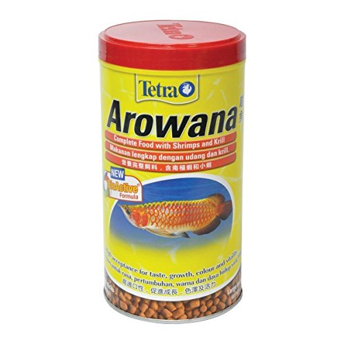 Tetra Arowana Large Carnivorous...