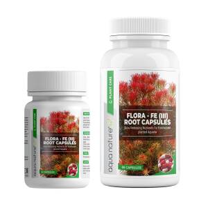 AquaNature Flora Fe (III) Root...