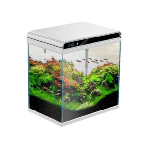 Sunsun Glass Aquarium with Air...