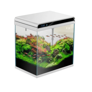 Sunsun Glass Aquarium with Air...