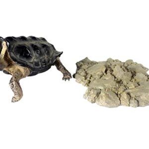NomoyPet Resin Turtle Shape Decoration...