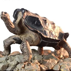 NomoyPet Resin Turtle Shape Decoration...