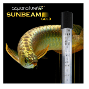 AquaNature Sunbeam Gold Submersible...
