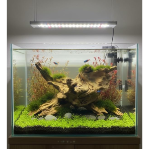 AquaNature Natural Small Driftwood...