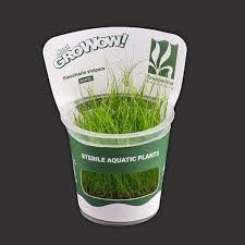 AquaNature Tissue Culture Aquarium...
