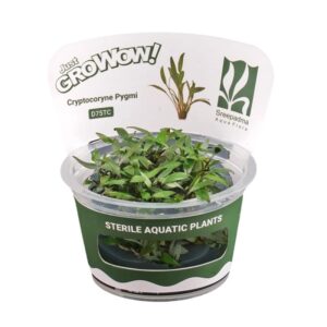 AquaNature Tissue Culture Aquarium...