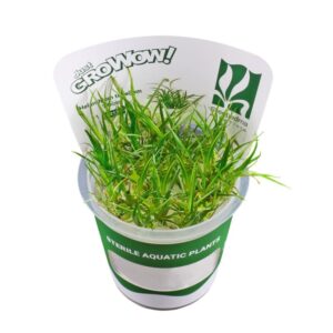 AquaNature Tissue Culture Aquarium...