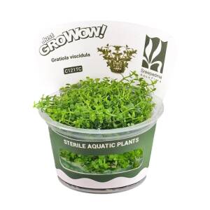 AquaNature Tissue Culture Aquarium...