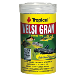 Tropical Welsi Gran Daily Feeding...