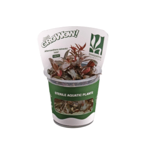 AquaNature Tissue Culture Aquarium...