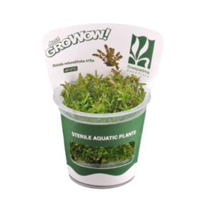 AquaNature Tissue Culture Aquarium...