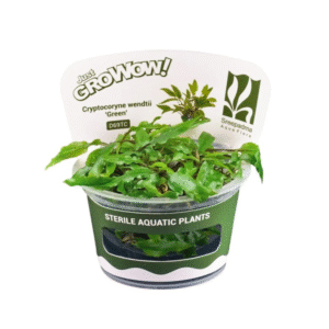 AquaNature Tissue Culture Aquarium...