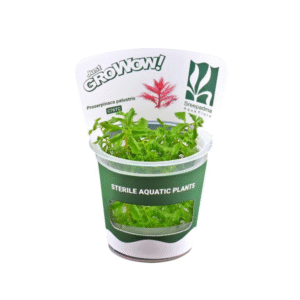 AquaNature Tissue Culture Aquarium...