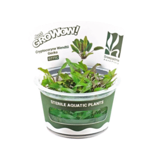 AquaNature Tissue Culture Aquarium...