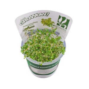 AquaNature Tissue Culture Aquarium...